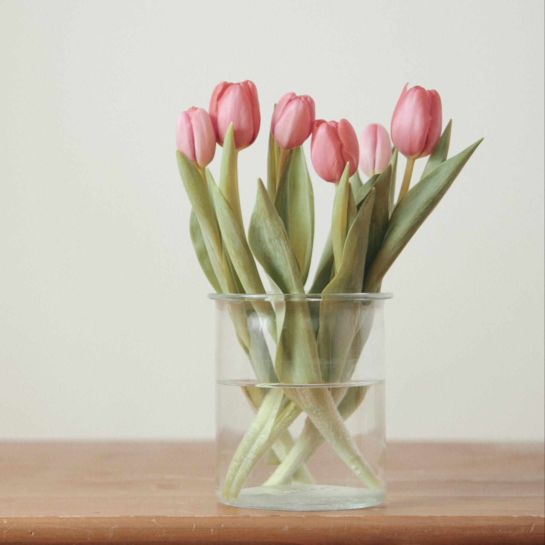 Shannan Anderson Client Care Specialist